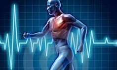 La ciencia y el deporte