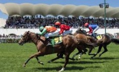 El deporte de este mes: Hípica