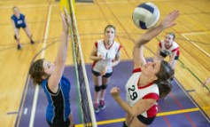 Principales deportes de equipo