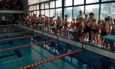 7ª Jornada Juegos deportivos de natación